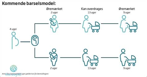 Barselsregler for funktionærer